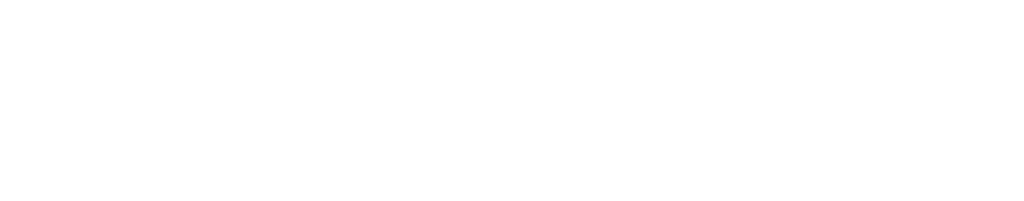 skarleon.org
